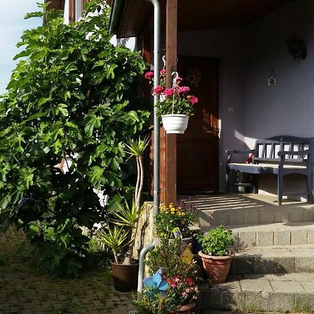 Urlaub Im Elsass Lejlighed Artolsheim Eksteriør billede
