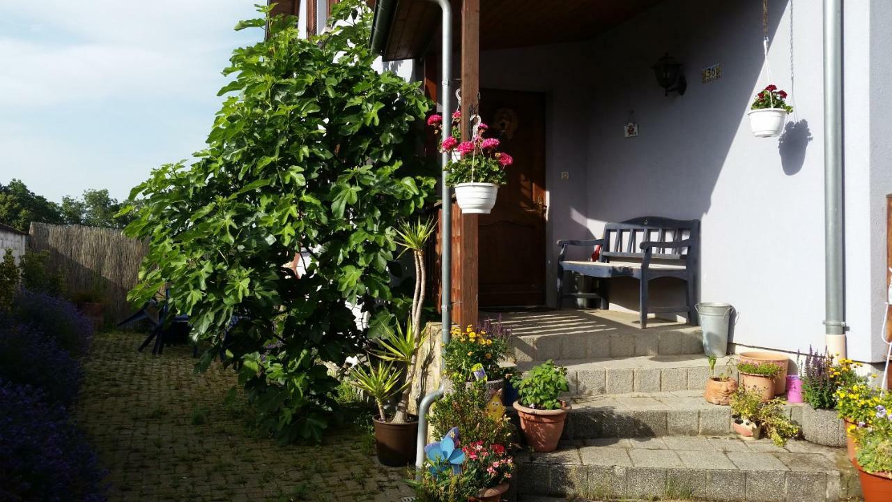 Urlaub Im Elsass Lejlighed Artolsheim Eksteriør billede