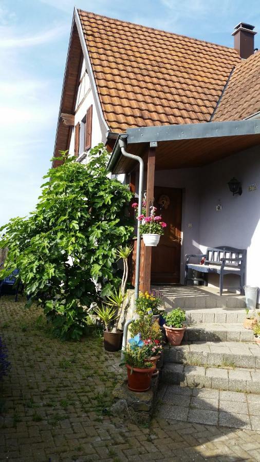 Urlaub Im Elsass Lejlighed Artolsheim Eksteriør billede